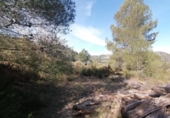 Terreny no urbanitzable en venda a la España, Borriol, ref.: TR281013 foto