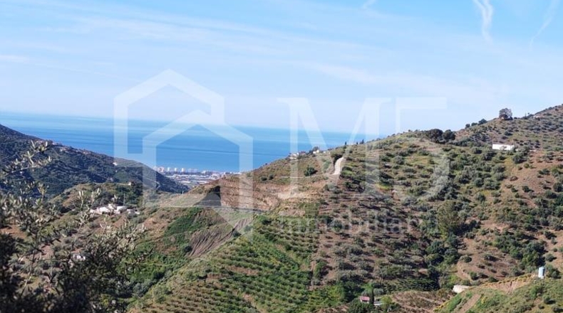 Málaga - Arenas - 2340m2