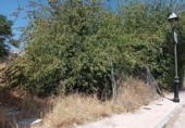 Suelo urbano en venta en la España, Jaén, ref: TR168818 foto