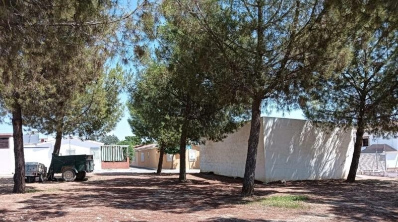 Jaén - Jaén - 100m2