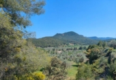Chalet independiente con terreno en venta en la España, La Portellada, ref: TR313170 foto
