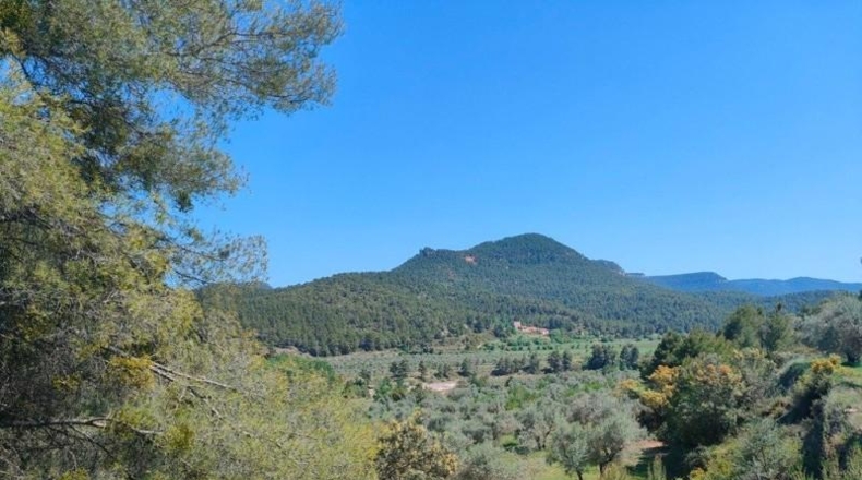 Теруэль - La Portellada - 14097m2