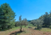 Chalet independiente con terreno en venta en la España, La Portellada, ref: TR313170 foto