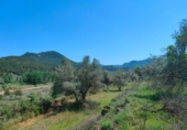 Chalet independiente con terreno en venta en la España, La Portellada, ref: TR313170 foto