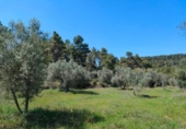 Chalet independiente con terreno en venta en la España, La Portellada, ref: TR313170 foto