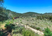 Chalet independiente con terreno en venta en la España, La Portellada, ref: TR313170 foto