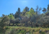 Chalet independiente con terreno en venta en la España, La Portellada, ref: TR313170 foto