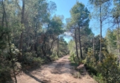 Chalet independiente con terreno en venta en la España, La Portellada, ref: TR313170 foto