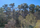 Chalet independiente con terreno en venta en la España, La Portellada, ref: TR313170 foto