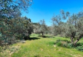 Chalet independiente con terreno en venta en la España, La Portellada, ref: TR313170 foto