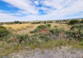 Terreno no urbanizable en venta en la España, La Alamedilla del Berrocal, ref: TR166462 foto