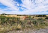 Terreno no urbanizable en venta en la España, La Alamedilla del Berrocal, ref: TR166462 foto
