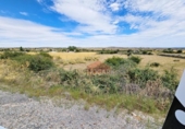 Terreno no urbanizable en venta en la España, La Alamedilla del Berrocal, ref: TR166462 foto