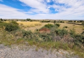 Terreno no urbanizable en venta en la España, La Alamedilla del Berrocal, ref: TR166462 foto