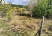 Загородный дом с участком на продажу в городе Arganza Фото