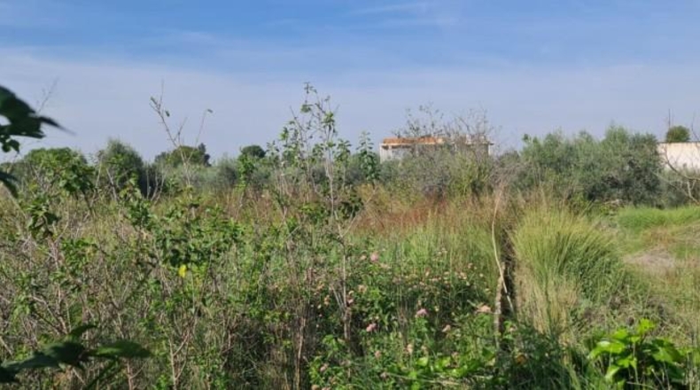 Múrcia - Molina de Segura - 500m2