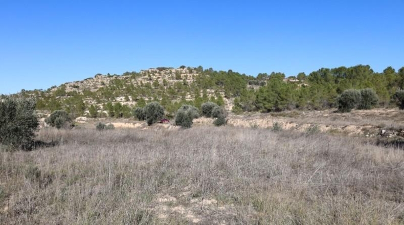 Teruel - Alcanyís - 6891m2