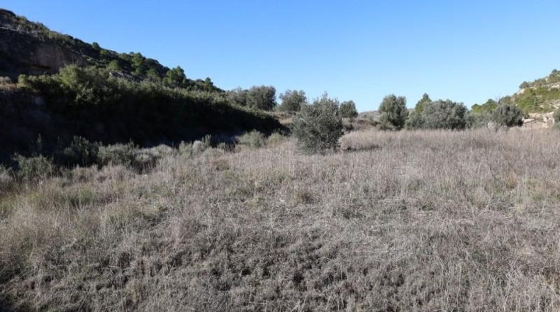 Teruel - Alcanyís - 6891m2