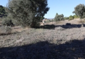 Parcela urbanizable en venta en la España, Alcañiz, ref: TR124664 foto