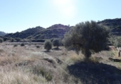 Parcela urbanizable en venta en la España, Alcañiz, ref: TR124664 foto