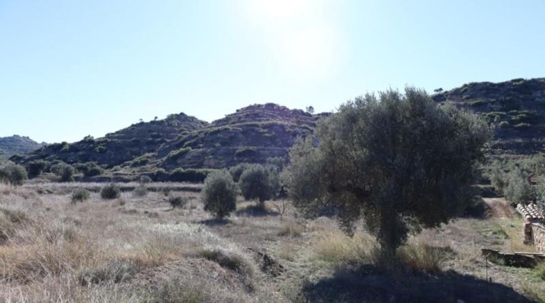 Teruel - Alcanyís - 6891m2