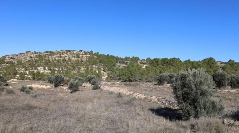 Teruel - Alcanyís - 6891m2
