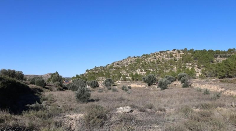 Teruel - Alcanyís - 6891m2