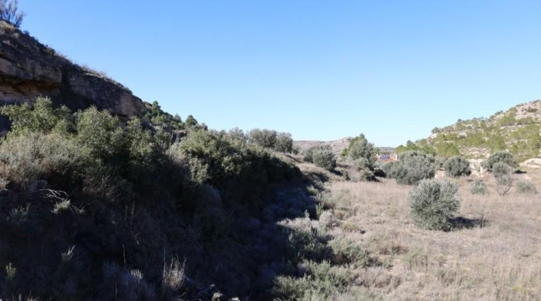 Teruel - Alcanyís - 6891m2
