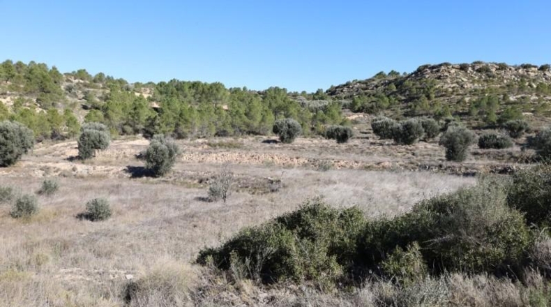 Teruel - Alcanyís - 6891m2