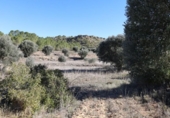 Parcela urbanizable en venta en la España, Alcañiz, ref: TR124664 foto