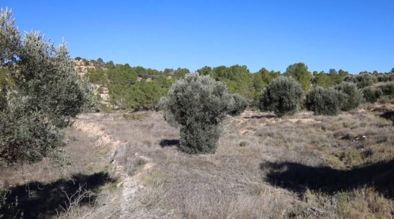 Teruel - Alcanyís - 6891m2