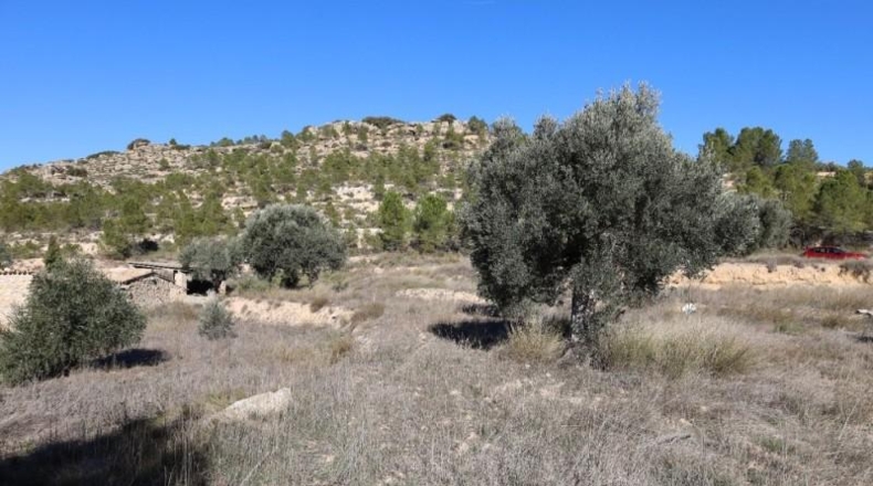 Teruel - Alcanyís - 6891m2