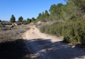 Parcela urbanizable en venta en la España, Alcañiz, ref: TR124664 foto