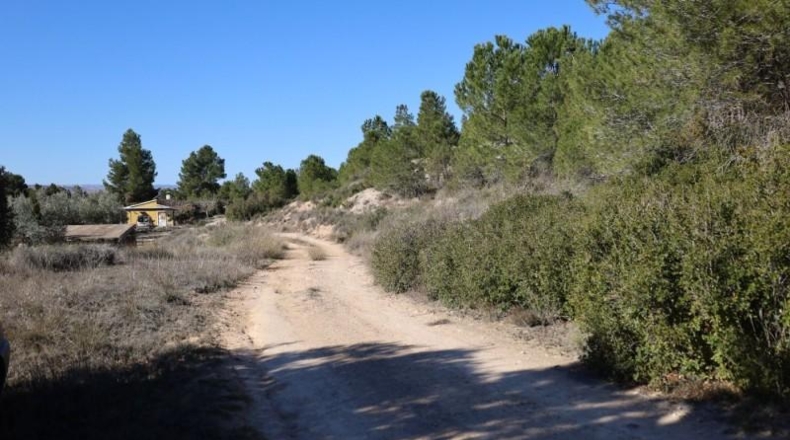 Teruel - Alcanyís - 6891m2