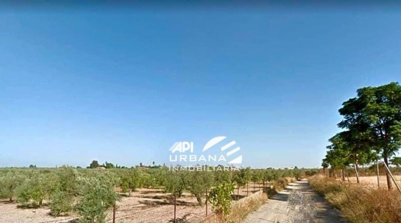 Córdoba - Lucena - 6440m2