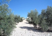 Terreno no urbanizable en venta en la España, Lucena, ref: TR121021 foto