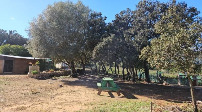 Castellón - Vall d'Alba - 8409m2