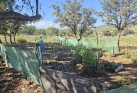 la Vall d'Alba 8409&nbsp;m²
