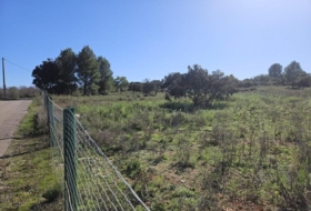 la Vall d'Alba 8409&nbsp;m²