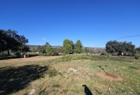 la Vall d'Alba 8409&nbsp;m²