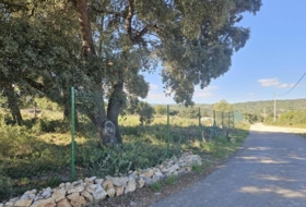 la Vall d'Alba 8409&nbsp;m²