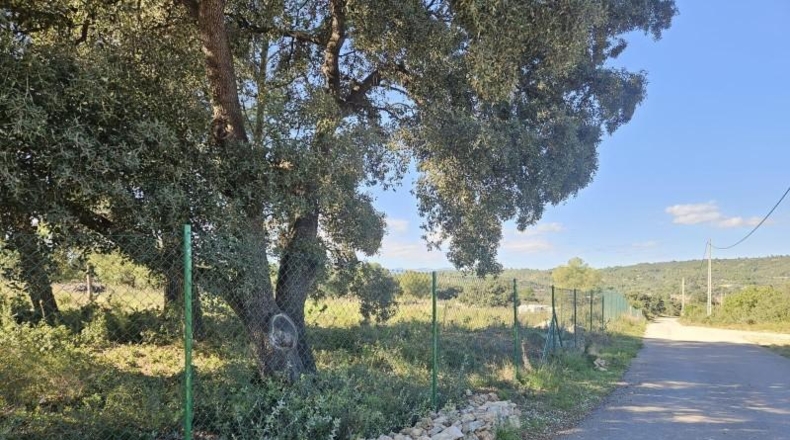 Castellón - Vall d'Alba - 8409m2