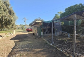 la Vall d'Alba 8409&nbsp;m²