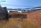 Casa amb terreny en venda a la España, Pedro Martínez, ref.: TR295000 foto