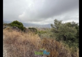 Terreno no urbanizable en venta en la España, Almuñécar, ref: TR348112 foto