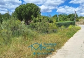 Parcela urbanizable en venta en la España, El Tiemblo, ref: TR172831 foto
