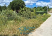 Parcela urbanizable en venta en la España, El Tiemblo, ref: TR172831 foto
