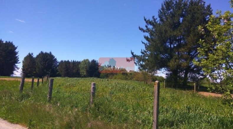 Lugo - Lugo - 3753m2