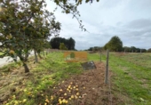 Terreno no urbanizable en venta en la España, Lugo, ref: TR228656 foto