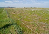 Parcela urbanizable en venta en la España, Sierra de Fuentes, ref: TR117643 foto